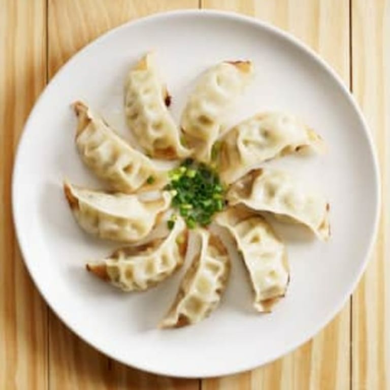 Dumplings Delight: Asian-Fusion and More
